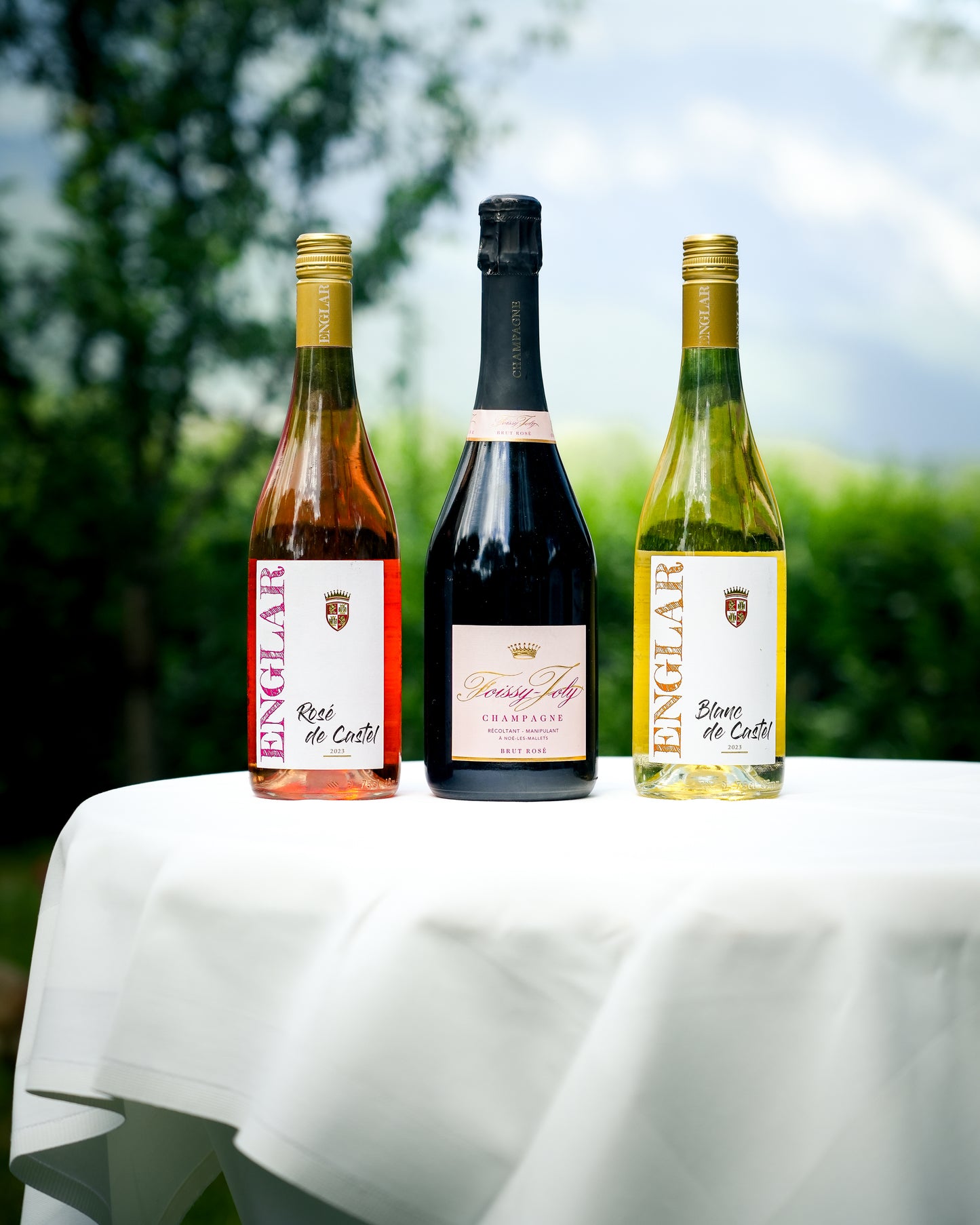 Sommer Premium Weine Bundle – Blanc de Castel, Rosé de Castel & Champagne Rosé