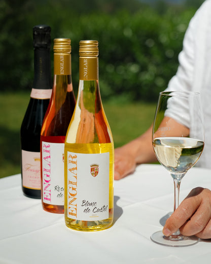 Sommer Premium Weine Bundle – Blanc de Castel, Rosé de Castel & Champagne Rosé